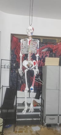 هيكل عضمي بهذة الشكل مع العلم  متحرك بكل الشكال السعر وتساب07712507739