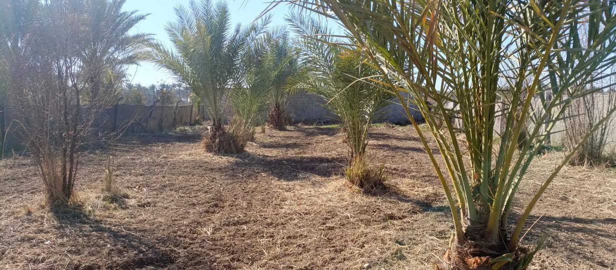 بستان صغيرة 500 متر للبيع طابو زراعي سند 25 تتوفر فيها جميع الخدمات ماء اساله وماء سقي وكهرباء ومسيج بالكامل الواجهه 25 متر والنزال 20 متر العنوان بغداد ناحيه الراشديه السعر 35 مليون وقابله للتفاوض للاستفسار الاتصال على الرقم *********** مكتب العبيدي للعقار
