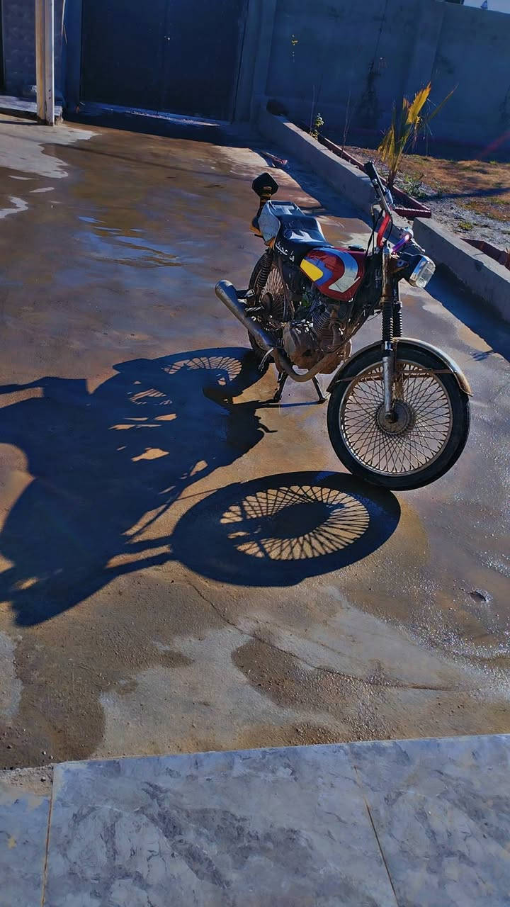 السلام عليكم موطور تايگر موديل ٢٠١٩ مفتوح السعر ٢٥٠ وبي مجال مبدل ولفات فقط الموطور محول حربي غراضو موجودات دشبول+چاملغ وره وبگلايت واشرات موجودات كهربائيات شغالات كلهن رقمي ***********
