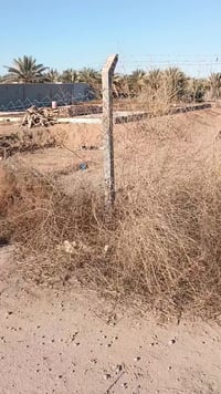 كربلاء • ٢٥٠م • للبيع