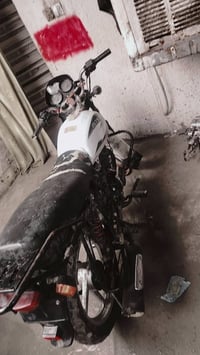 مراوس • للبيع