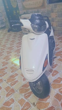 فراشه • جديده • بصره