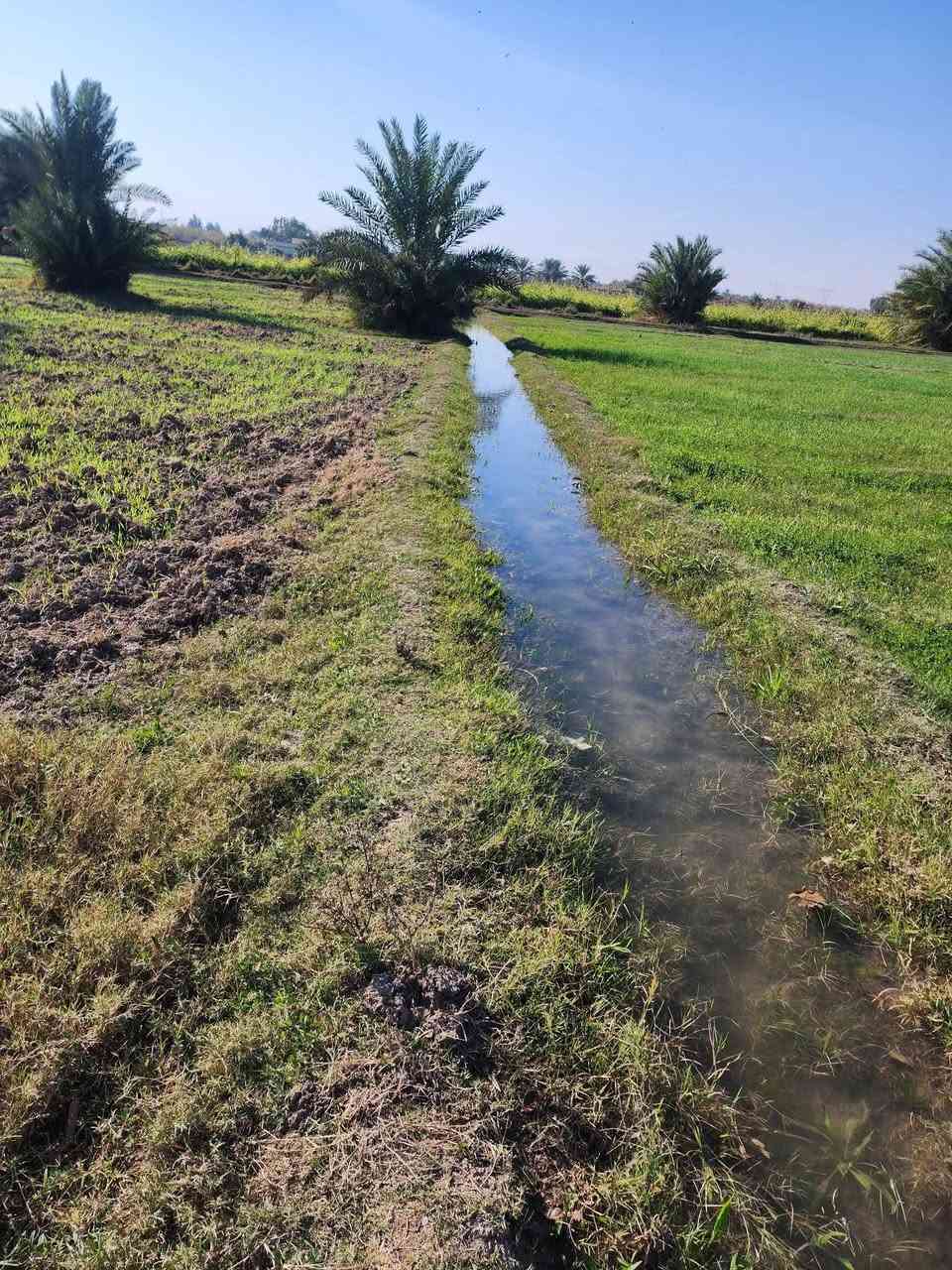 ارض زراعيه للبيع في بغداد عكركوف 9 دونم جاهزه مي وكهرباء وارض صالحه للزراعه والسكن


**إذا كنت صاحب هذا الإعلان وتريد حذفه لأي سبب، رجاءا أرسل رسالة إلى الدعم الفني**