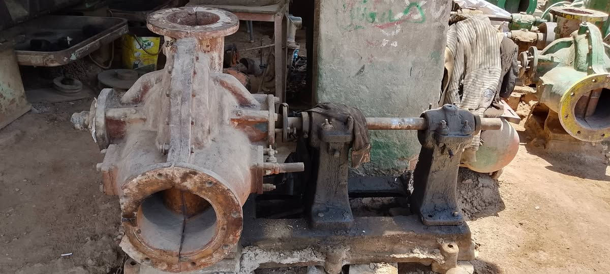 ⭕ خنازير للبيع
8×10 نگد بوش
8×10 بوش
12×10 عراقية
10×8 عراقية
8×6 عراقية

📍 العنوان: سيد علي تورنة – الديوانية – غماس

✅ يوجد: توصيل، صيانة، استبدال، شراء
جميع مستلزمات واحتياجات التورنة

📞 للاستفسار ***********
