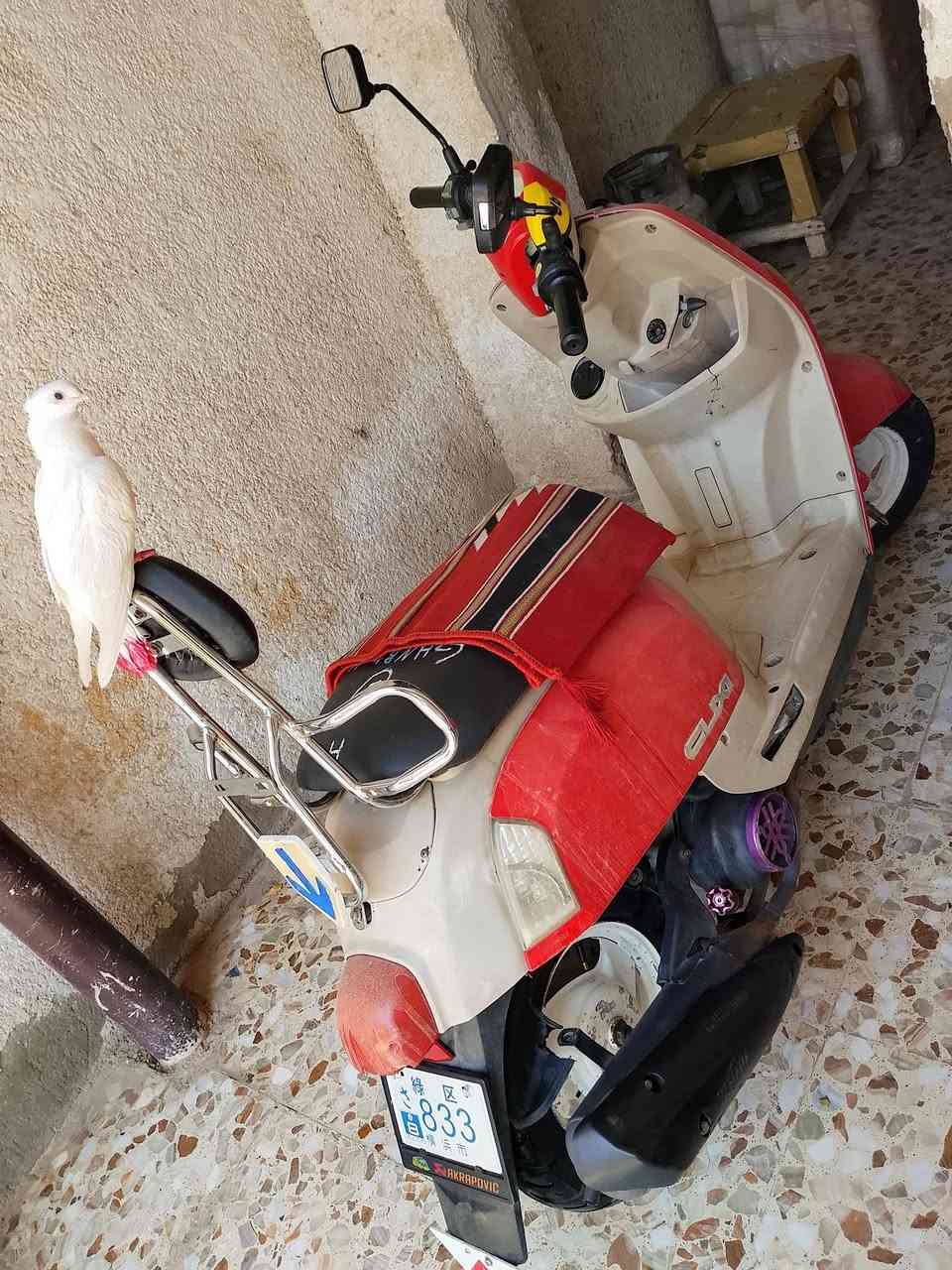 سلام عليكم دراجه للبيع كفاله لسعر خاص


**إذا كنت صاحب هذا الإعلان وتريد حذفه لأي سبب، رجاءا أرسل رسالة إلى الدعم الفني**