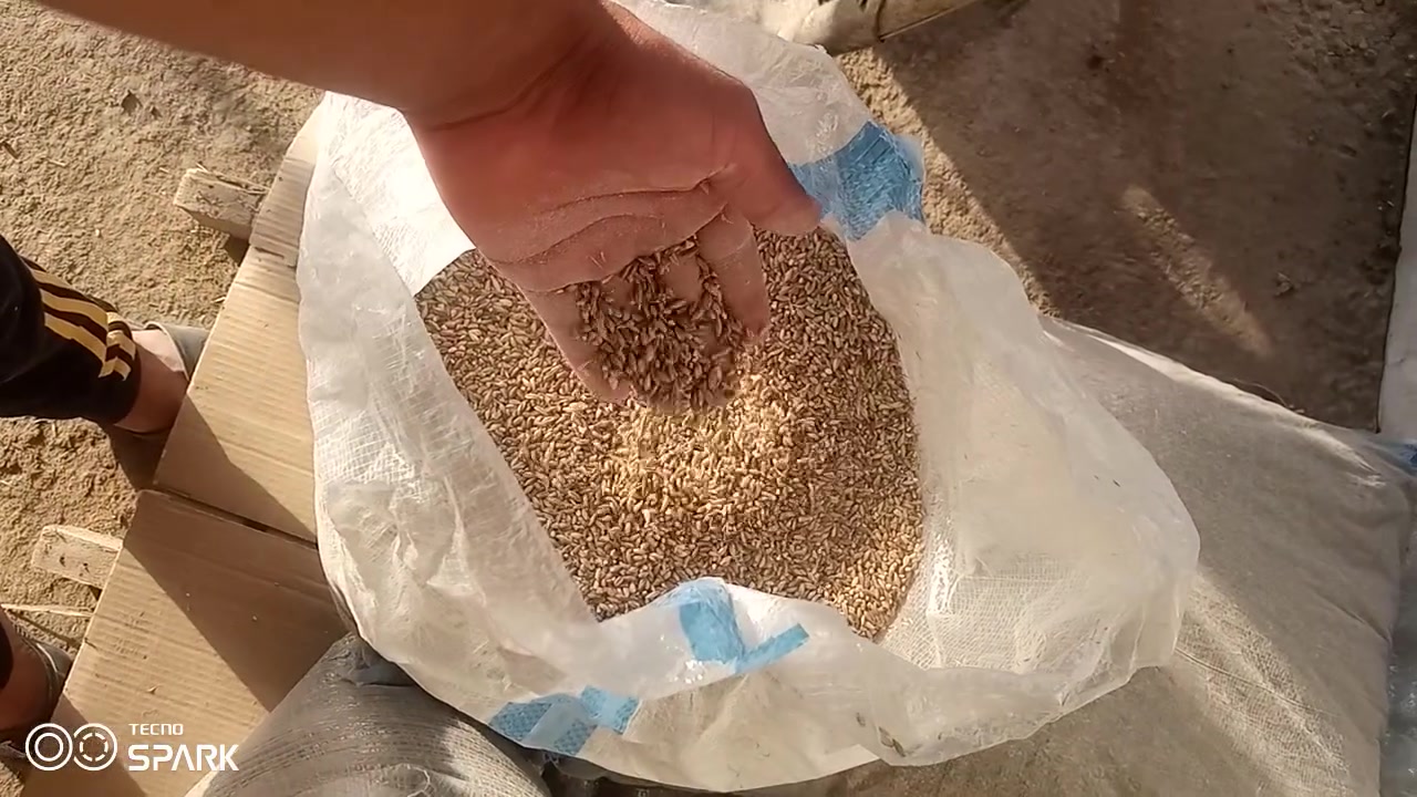 على بركه الله تعالى تم افتتاح
علوه واعلاف البركه
متوفر لدينا نخاله عراقيه درجه اولى
متوفر ايضا كافه اعلاف الطيور من 
دخن 
بروتين خشن وناعم
مخبوطه 
شعير
وحنطه درجه اولى 
العنوان شارع ساطي مجاور معهد الامراء الاهلي 
باداره مصطفى التميمي 
رقم الهاتف ***********
***********
