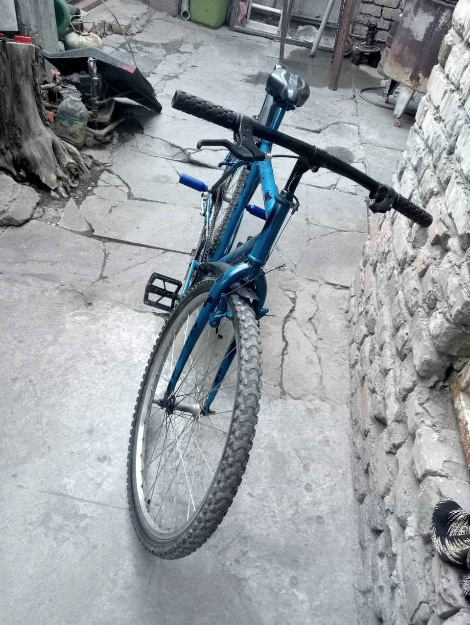 السلام عليكم شباب بايسكل نضيف مابي نقص بس ابريك السعر 75 أو بي مجال بسيط الاستفسار اتصل على رقم *********** أو *********** 💝🚴🚴🚵🚲
