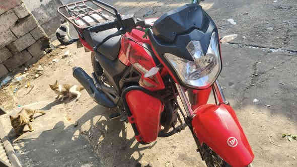 اركي موديل 24 دراجه نضيفه بعده للبيع دراجه كل نقص ما بيه خذته شهر 2 ما اشغتل بيه بس اروح بيه البيت رجع يعني درجات مو مال شغل بس توديني وجيبني لا اكثر اول دراجه مبدل بيه دشبول بس بل حقيقي ماشيه 12000 كيلو 
سعر 2250 وبيه مجال بسيط لحد يكسر بسعره رجأ 
الهاتف ***********
