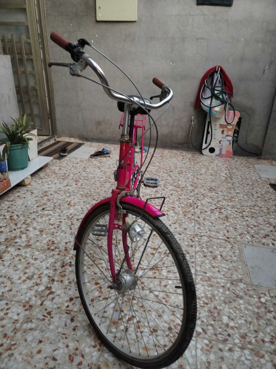 سلام عليكم ،
باسكل للبيع في منطقه سبع البور
  عالحجم:27 سعر:75 وبيه مجال ان شاء الله لتواصل  خاص مازنجر  او على رقم***********
