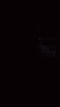 ستوته • ٢٠٠٧ • أوراق أصلية