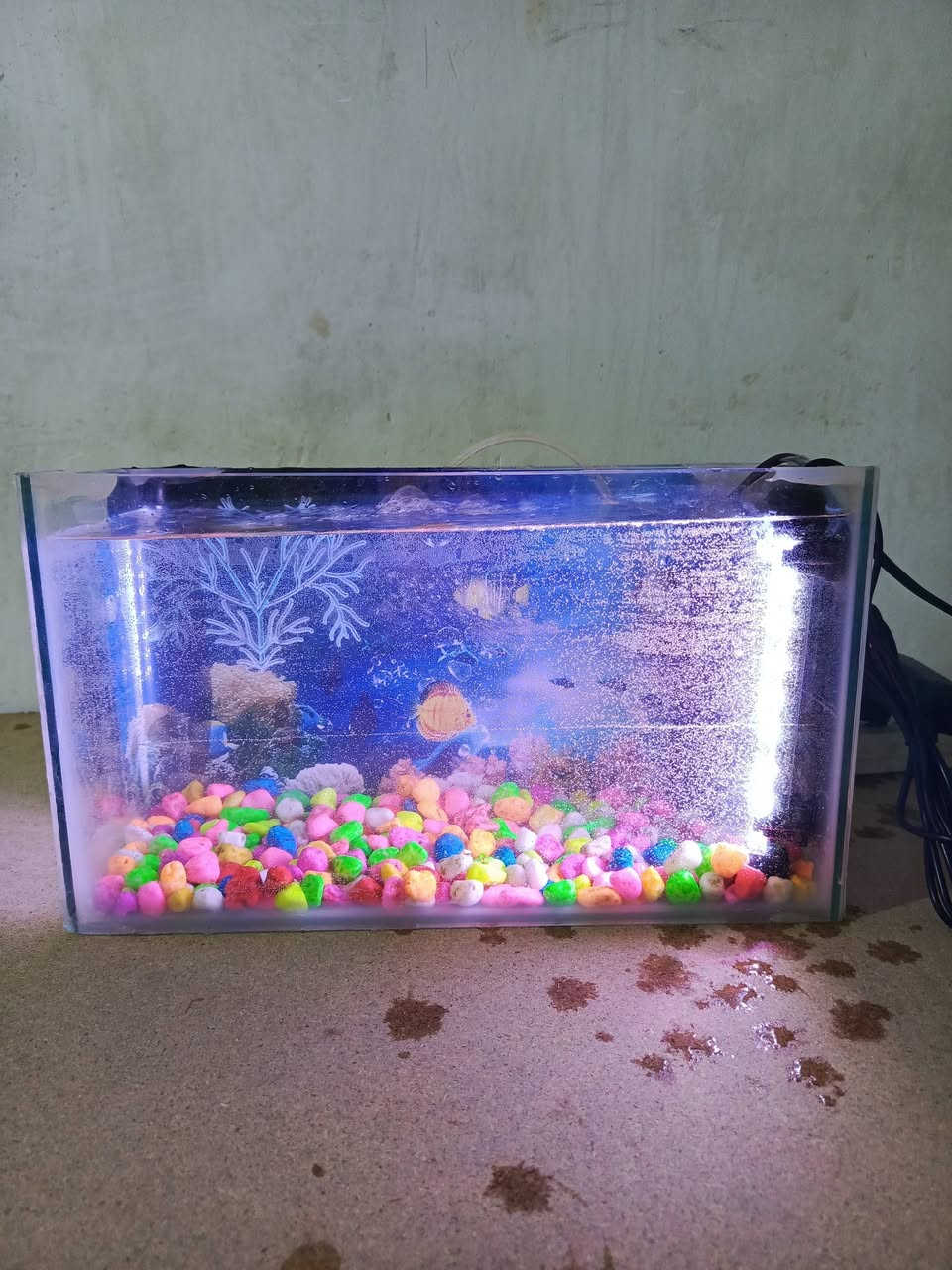 سلام عليكم حوض كامل مع الاكل والأنارة واتر بم  للبيع مكاني نجف ***********
