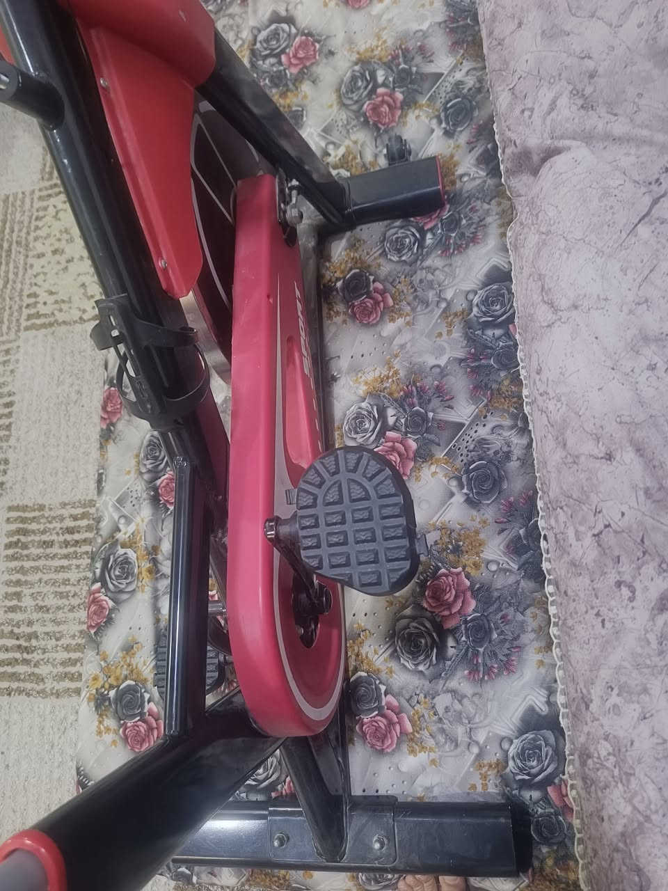 سلام عليكم بايسكل ميكانيك بوضع الجديد للبيع


**إذا كنت صاحب هذا الإعلان وتريد حذفه لأي سبب، رجاءا أرسل رسالة إلى الدعم الفني**