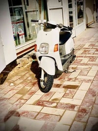 بوليس كابريته • نجف ابوصخير • للبيع