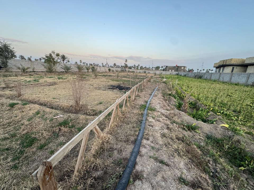 سلام عليكم مزرعة للبيع دونمين سند ٢٥ زراعي ابعاده ٤٢ متر الواجهة والنزال ١١٩ متر وبي نهر وبير و تحتوي على استراحة وحمام وسياج بلوك ملبوخ ومنثور من الخارج والاساس والاعمدة كوكنريت وبي تقريبا ٢٠ نخلة واشجار متنوعة الموقع طريق كربلاء -النجف مفرك آل چباس على نهر الاعيوج السعر ٣٥٠ مليون والي يحب يتواصل على الرقم ***********
