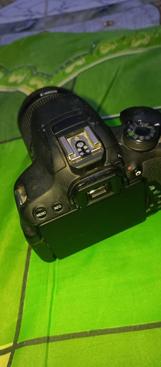 سلام عليكم ورحمه الله وبركاته اجتني بهذا الشكل ما بيها شحن والله بسبب عدم توفر شاحن الها بيش تفيدكم تكوني سعر  نظافتها مقبوله يعني والعدسه نظيفا جدا بس ما اعرف شغاله ام لا بطاريه بيها مع بطاقه الذاكره 8جيكا مكاني البصرة قضاء صفوان توصيل ماعندي


**إذا كنت صاحب هذا الإعلان وتريد حذفه لأي سبب، رجاءا أرسل رسالة إلى الدعم الفني**