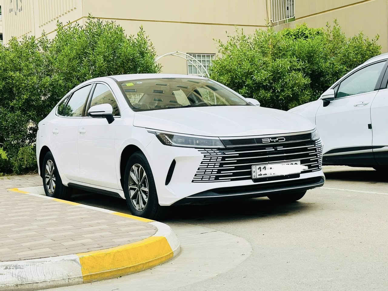 دستورير ٢٥ مكفوله من كلشي ….مكانها بسمايه …***********
السعر ١٢٠ ورقه ……ماشيه ٢٠٠٠
معروفه مواصفاتها الدستروي….
