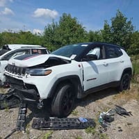 ترايل هوك • ٢٠٢٥ • بدون صبغ