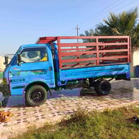 بنگو • سيارة • بغداد