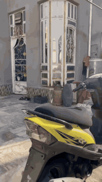 ماكس • أصفر • بلاد 49