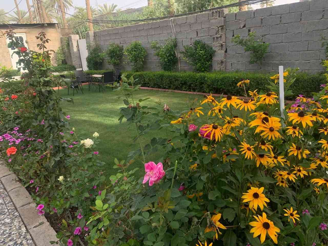 حدائقك بستان.. بأيدي ابن الموصل 🌿
السلام عليكم ورحمة الله وبركاته..
حابب تغير جو بيتك وتخلي حديقتك تفتح النفس بخدمتكم في كافة مناطق مدينة الموصل! 🪵🌸***********
​مستعدون لكافة خدمات الحدائق والترتيب:
​🌱 زراعة الثيل الطبيعي وترتيبه.
​🌹 زراعة الورد والأشجار بمختلف أنواعها.
​🌳 قلع الأشجار القديمة وتصفية الحديقة.

يتوفر رمل حديقه معه التوصيل أيضا 
​🔨 أعمال القلع والتفليش وتنظيف المكان بالكامل.
​شغل نظيف، سريع، وبأسعار طيبة ترضيكم إن شاء الله.
​📞 للتواصل والاستفسار:
​اتصال أو واتساب: 
​*********** متواجدون في جميع مناطق وأحياء الموصل، نصلكم أينما كنتم
