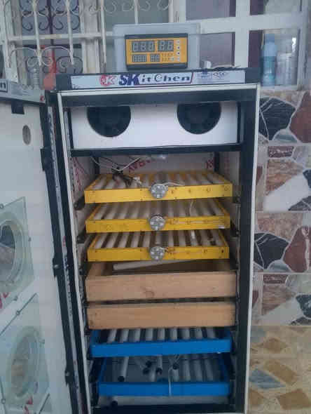 السلام عليكم. متاح فقاصة للبيع عدد 2 مستعملة سعة 352 بيضة كل وحدة . فقاصة تومتيك وحدة تقليب مركزي . والثانية تقليب طبقات كل طبقة تقليب وحد . سعر الوحدة ٢٧٥ ألف دينار مع كل وحدة سلات مال تفقيص هدية .. رقم موبايل ***********
