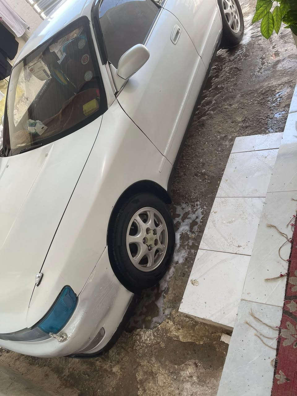 يالله سلام عليكم شيزر نفخ موديل 91 كفاله كص نقل جثه مكينه كيرا حداد تخم تاير يشهد الله سياره نقصها بس تبريد فقط الباقي خيرا من الله سنويه 2030 ارقام نكليزي سياره جاهزه مابيها نقص غيرا تبريد مكان سياره البصره ابو الخصيب *********** اخوان السعر 47 بيها مجال علمن راعيها يريد مداور
