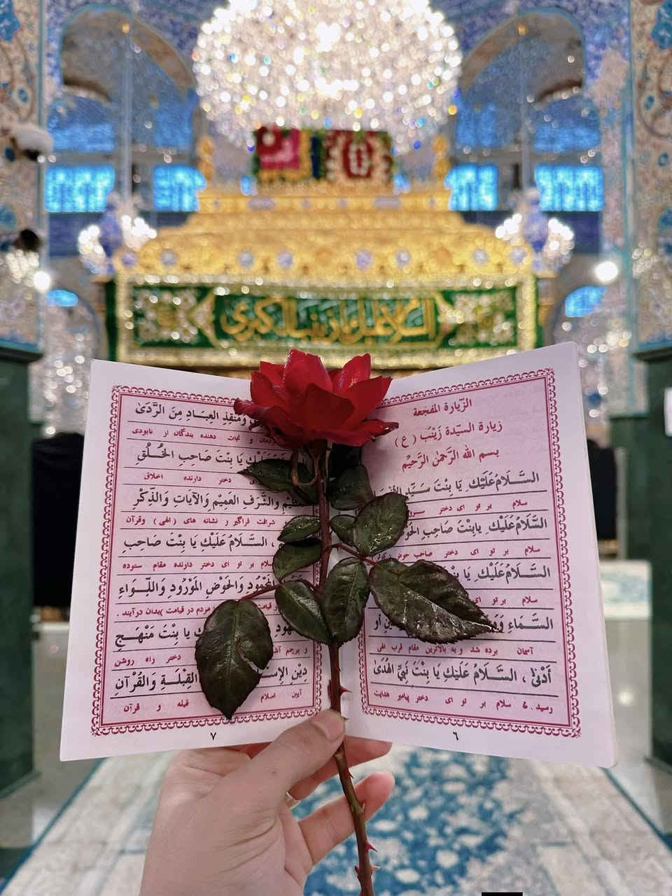 من مقام السيدة زينب (ع) نبارك للأمة الإسلامية بولادة أسد الله الغالب،أبي زينب الحوراء، إمام العدل، ووصيّ رسول الله (ص).🤍🌸

قلدونا الدعاء والزيارة 

#السيدة_زينب 
#أمير_المؤمنين 
#متباركين
شركـــــة وردة الياسمين للسياحة والسفر
عنوانك للتميز دائما وابدا
التميز نحنا من نصنعا
***********
الاستاذ حيدر الكنعاني
الاتصال 🤙 وتساب
وجودنا لخدمتكم دائما وابدا
