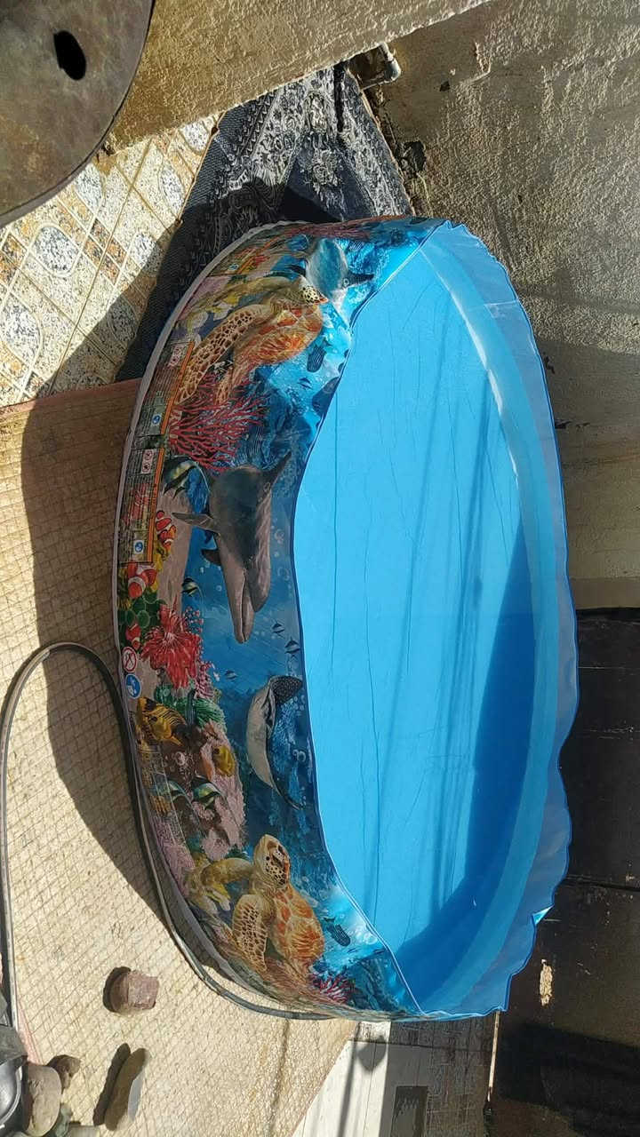 مسبح أكبر حجم للبيع حله


**إذا كنت صاحب هذا الإعلان وتريد حذفه لأي سبب، رجاءا أرسل رسالة إلى الدعم الفني**