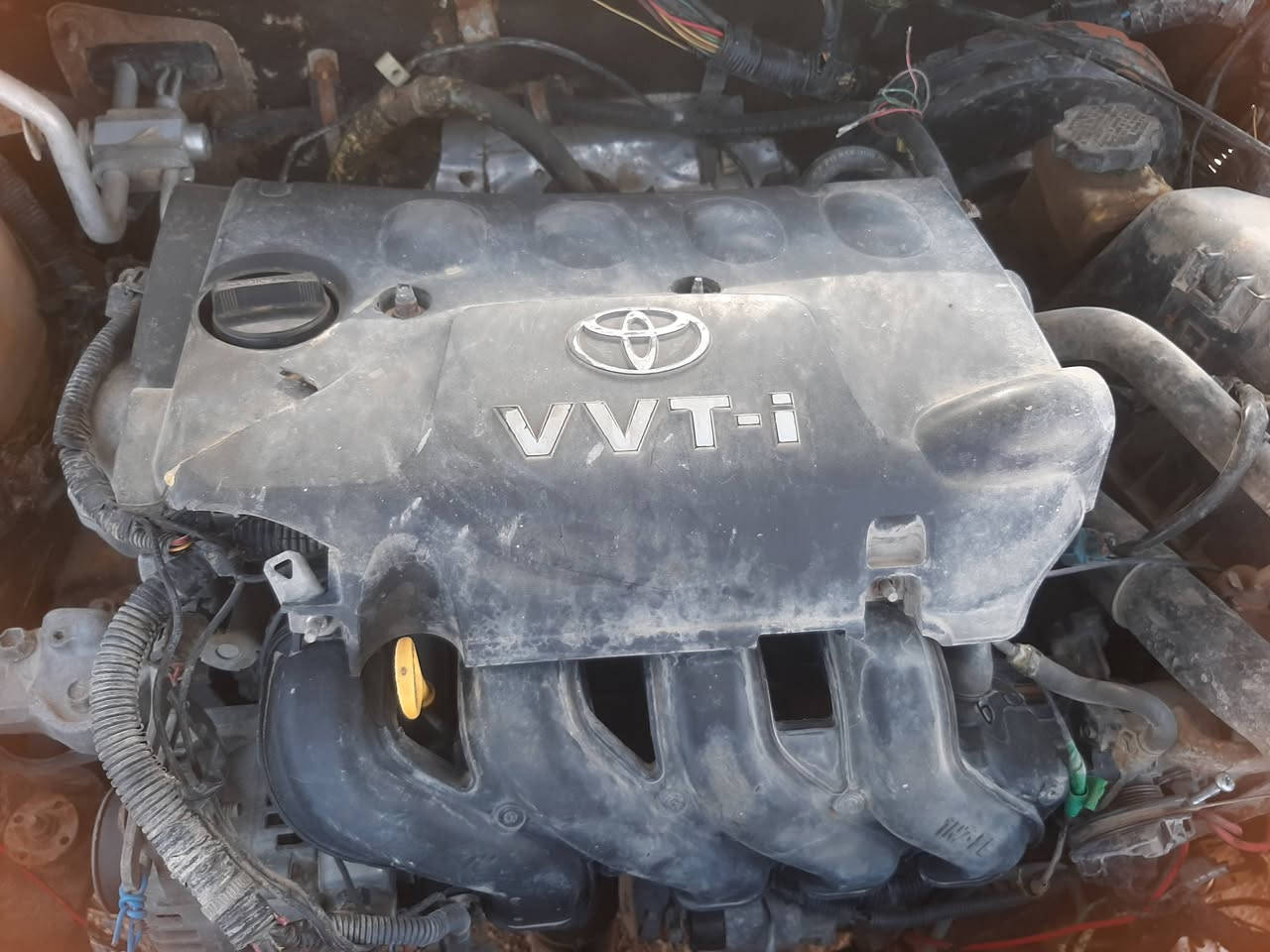 السلام عليكم/شيري رقم بغداد مميز حلو أجره/كيرمحرك بيكاتشو(فيفيتي) شرط حديث {{الكشر يرايدله ترتيب شوف العين }} مصفرة +براءة ذمه+ غرامات / المالك ناصرية تريد وكالة اوتحويل/ السعر ١٨/قفل /للستفسار/٠٨٧٣٠٩٠٤٣٤٤


**إذا كنت صاحب هذا الإعلان وتريد حذفه لأي سبب، رجاءا أرسل رسالة إلى الدعم الفني**