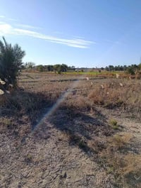 الفندية • ٣ دوانم • سند ٢٥