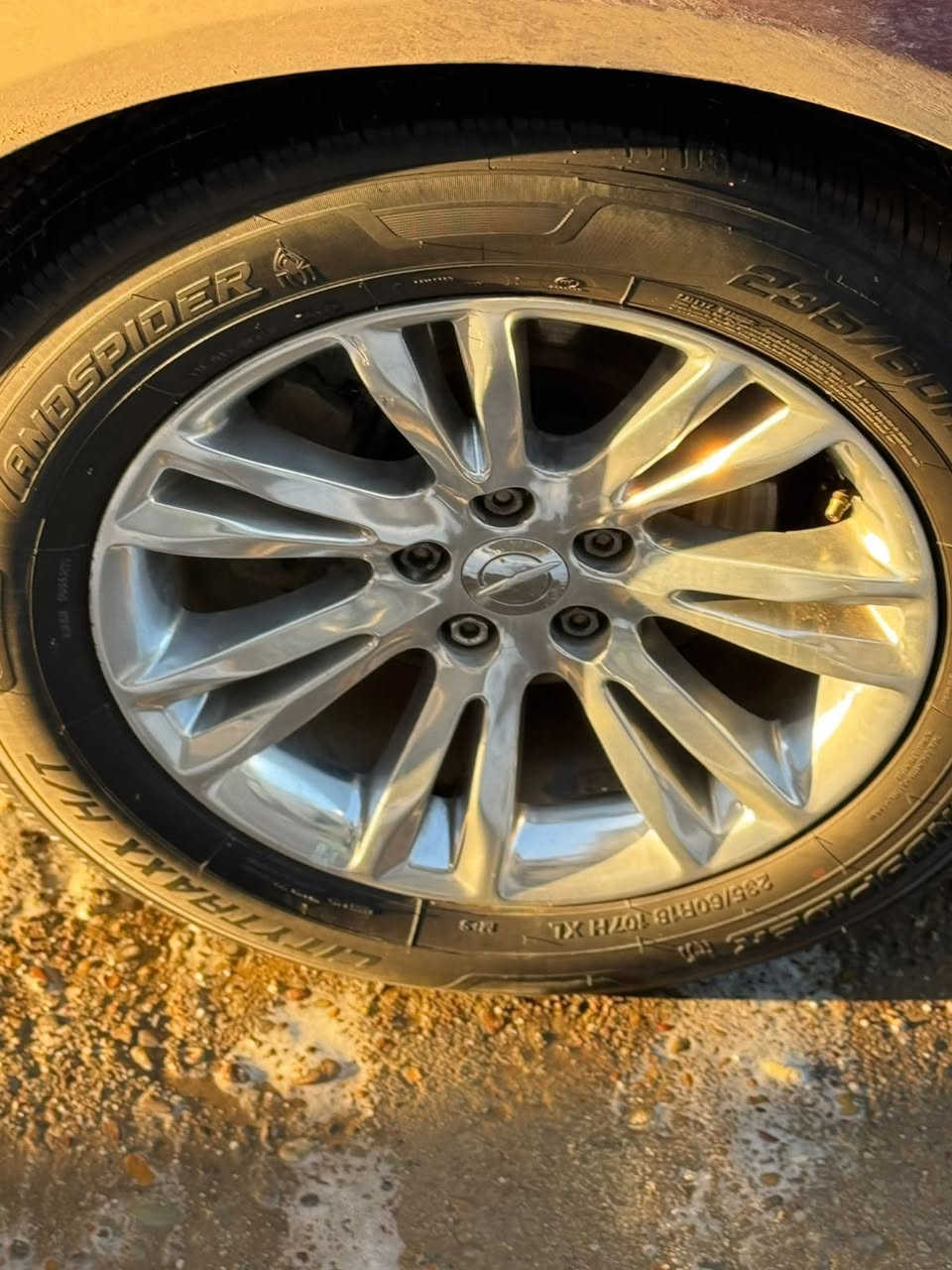 السلام عليكم تخم مكسيكي اصلي واحد منهن بي شخط وعواج هوه نفسه التك مال حاويه ستوني شديتهن للبيع مكاني بغداد ***********
