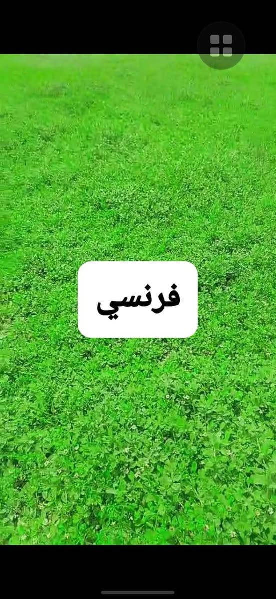 ‬‏يوجد خدمت توصيل لجميع المحافظات ويوجد كادر لتجهيز الحدائق لطلب ولستفتار التصال على الرقم أو مراسلت الصفحه ***********👈***********
