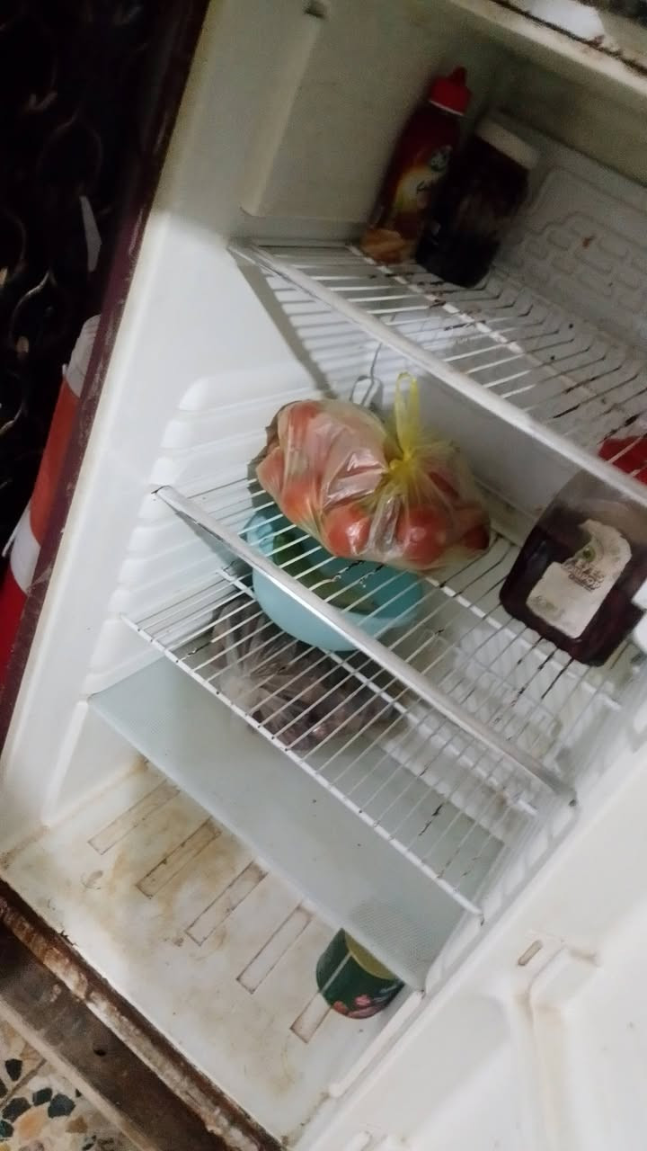 ثلاجه لللبيع كبيره تجميده يخبل ماداخله تصليح لشراي يجي خاص


**إذا كنت صاحب هذا الإعلان وتريد حذفه لأي سبب، رجاءا أرسل رسالة إلى الدعم الفني**