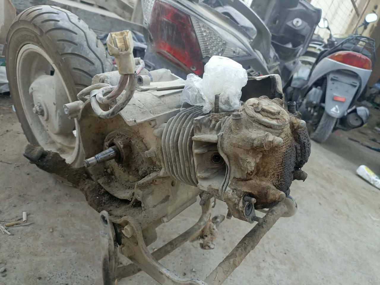 يتوفر تفصيخ بريز طابوكه مال شارع مامفتوحه شغاله كفاله كابريتر رمبه ع الشغل قبق هندر اكزز بريز ويلات شاصي دبلات قبق هندر سكنس فحل تفصيخ سكنس تفصيخ كامكو
اتصال ***********
