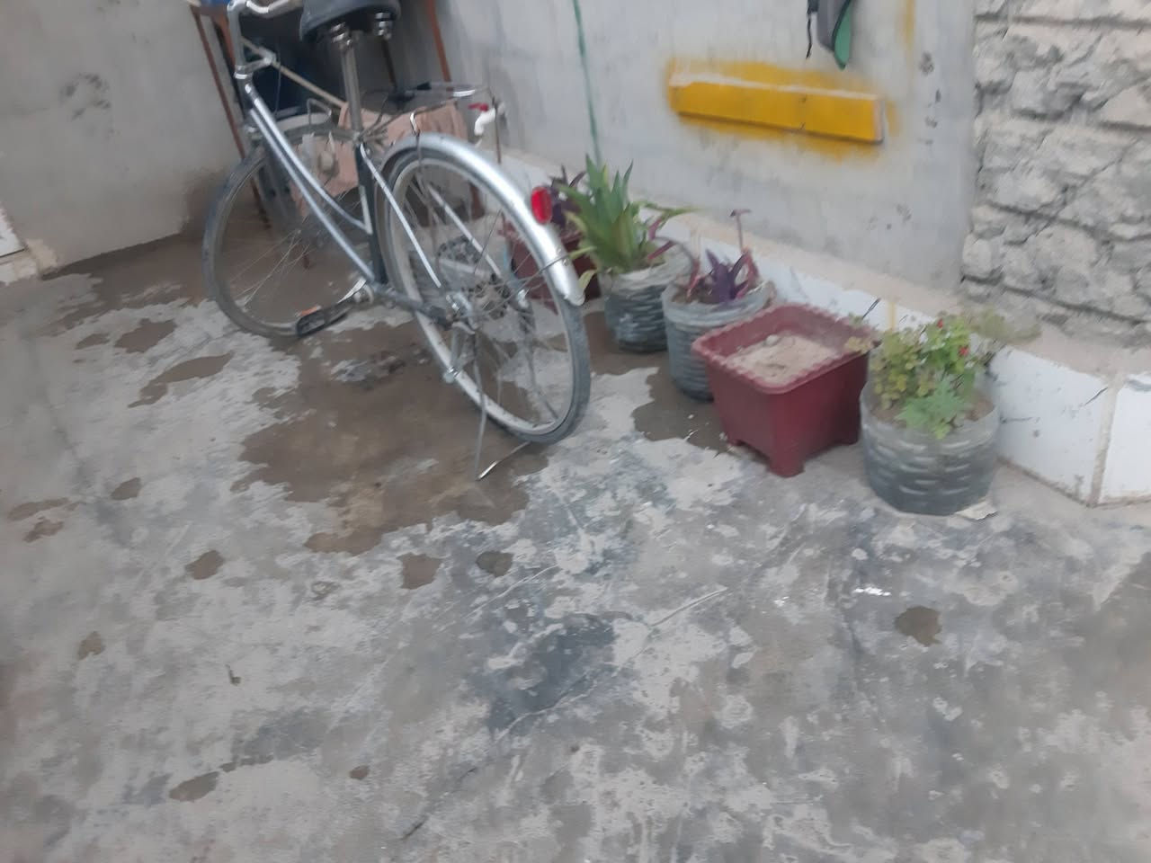 السلام عليكم  بايسكل للبيع السعر خاص


**إذا كنت صاحب هذا الإعلان وتريد حذفه لأي سبب، رجاءا أرسل رسالة إلى الدعم الفني**