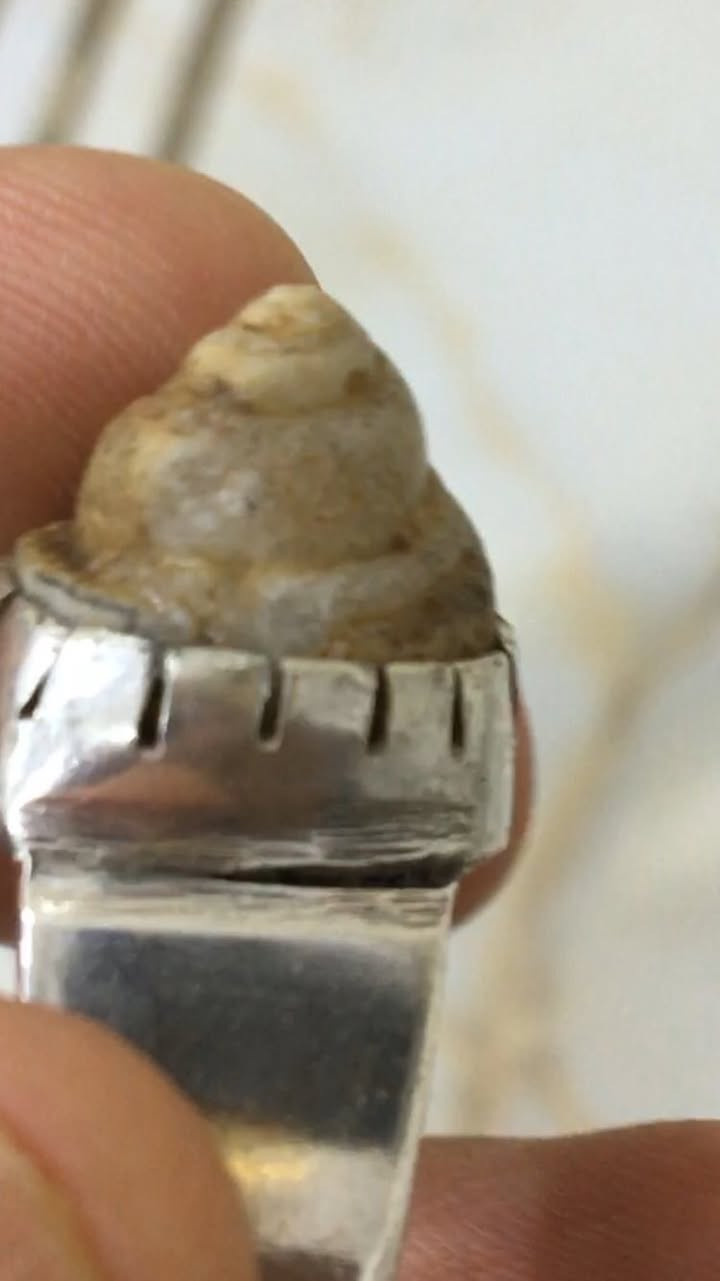 محبس عطف بري لوي رباني صياغه فظه يدوي ثقيله


**إذا كنت صاحب هذا الإعلان وتريد حذفه لأي سبب، رجاءا أرسل رسالة إلى الدعم الفني**