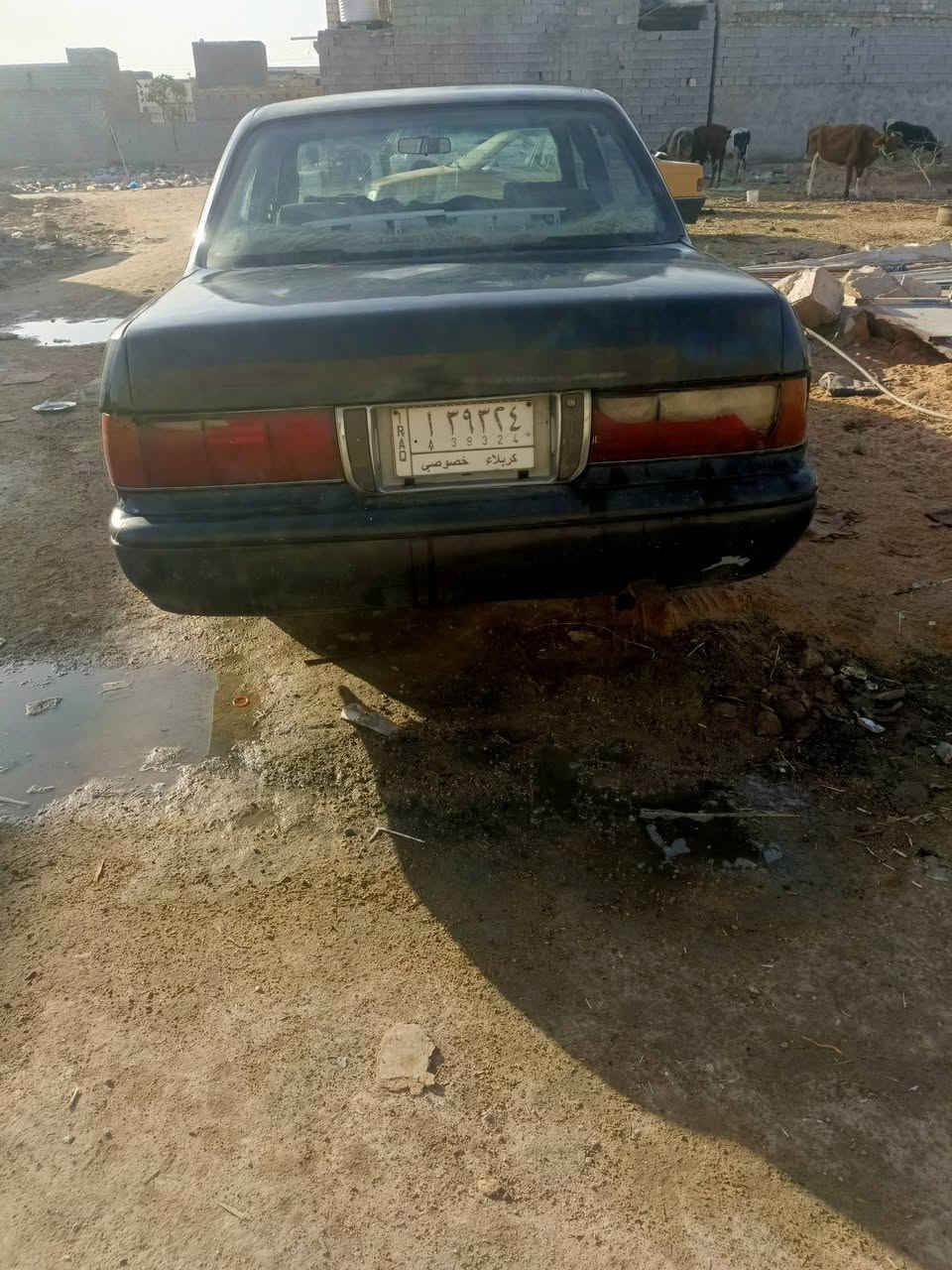 سلام عليكم من رخص الإدمان مدير الكروب المحترم سياره رنب نيلي موديل 2000رقم كربلاء مداور ثاني يوم كير مكفوله كصه ونقل ومكينه 2ونص مكان سياره كربلاء قرب سيد سماعيل لاستفسار تصل ***********السعر 35وبيه مجال
