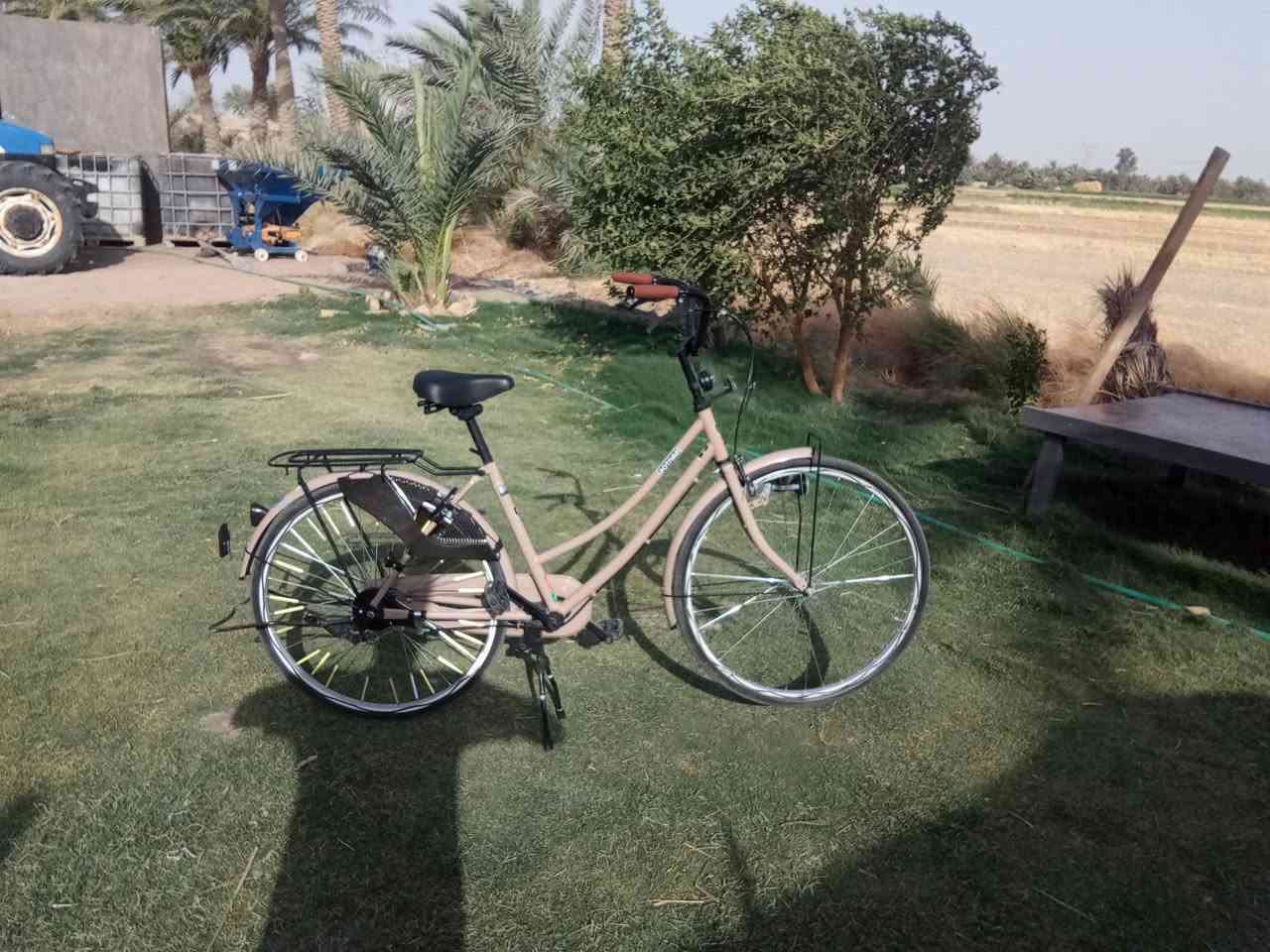 سلام عليكم. باسكل البيع موديل 21 نضافه فول مستعجل عله بيعته المكان نجف ناحيه ال عباسيه السعر 120وبي مجال رقم الهاتف ***********
