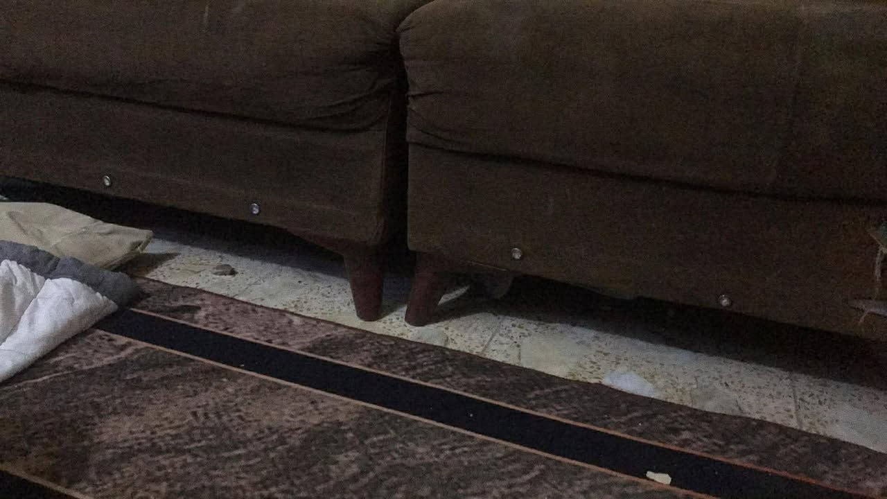 السلام عليكم ديوان للبيع 
خمس مقاعد لون جوزي
العنوان بغداد العبيدي يم معمل الغاز
اي استفسار خاص وبل خدمه ⛔✅


**إذا كنت صاحب هذا الإعلان وتريد حذفه لأي سبب، رجاءا أرسل رسالة إلى الدعم الفني**