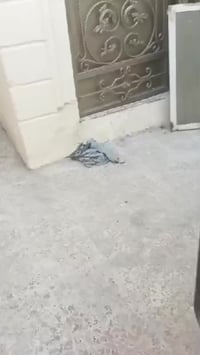 حي النداء • ١٠٠م • طابقين