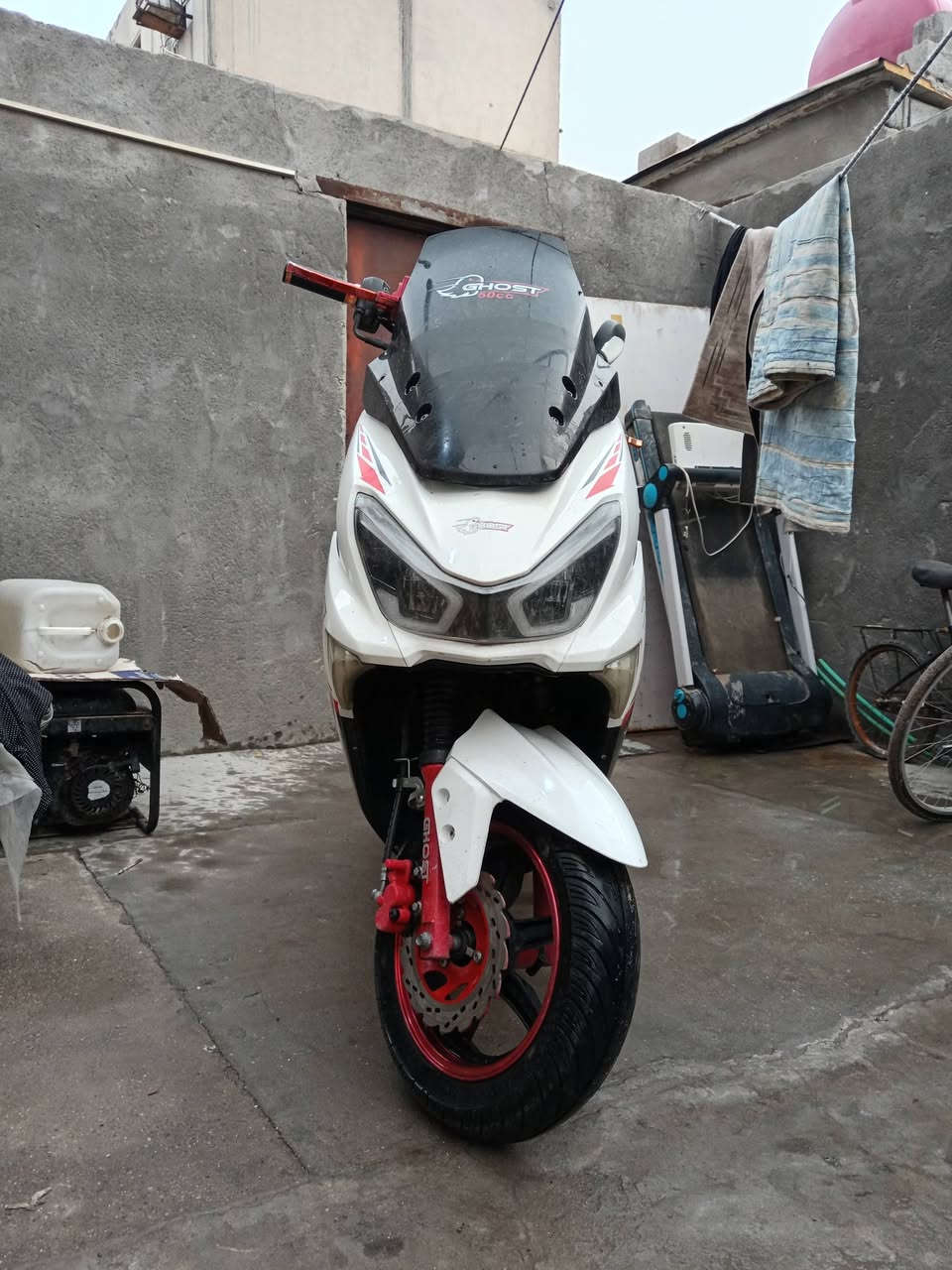 للمراوس بفورزه او بيع السعر ٦٥٠ مكاني البصره ***********
