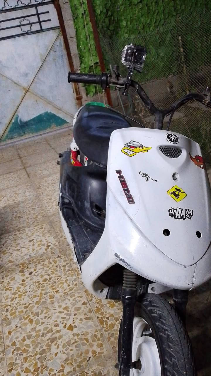 ماكس قجمه 49 بلادي شلعه ومعدل للمرواس عدله حتلو مفتوحه مكان بغداد الرقم *********** وتساب
