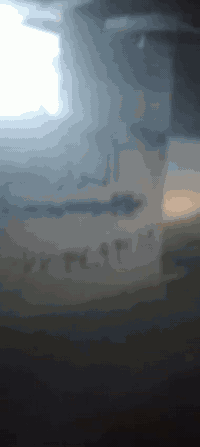 الأمين الثانية • ٥٠م • ١غ