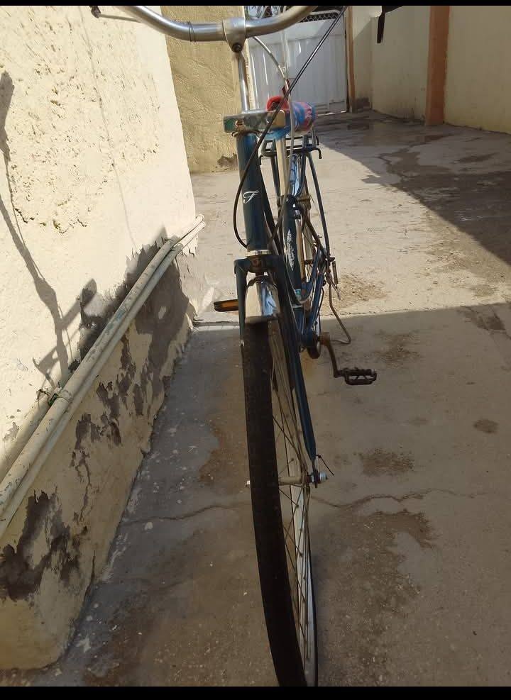 75


**إذا كنت صاحب هذا الإعلان وتريد حذفه لأي سبب، رجاءا أرسل رسالة إلى الدعم الفني**