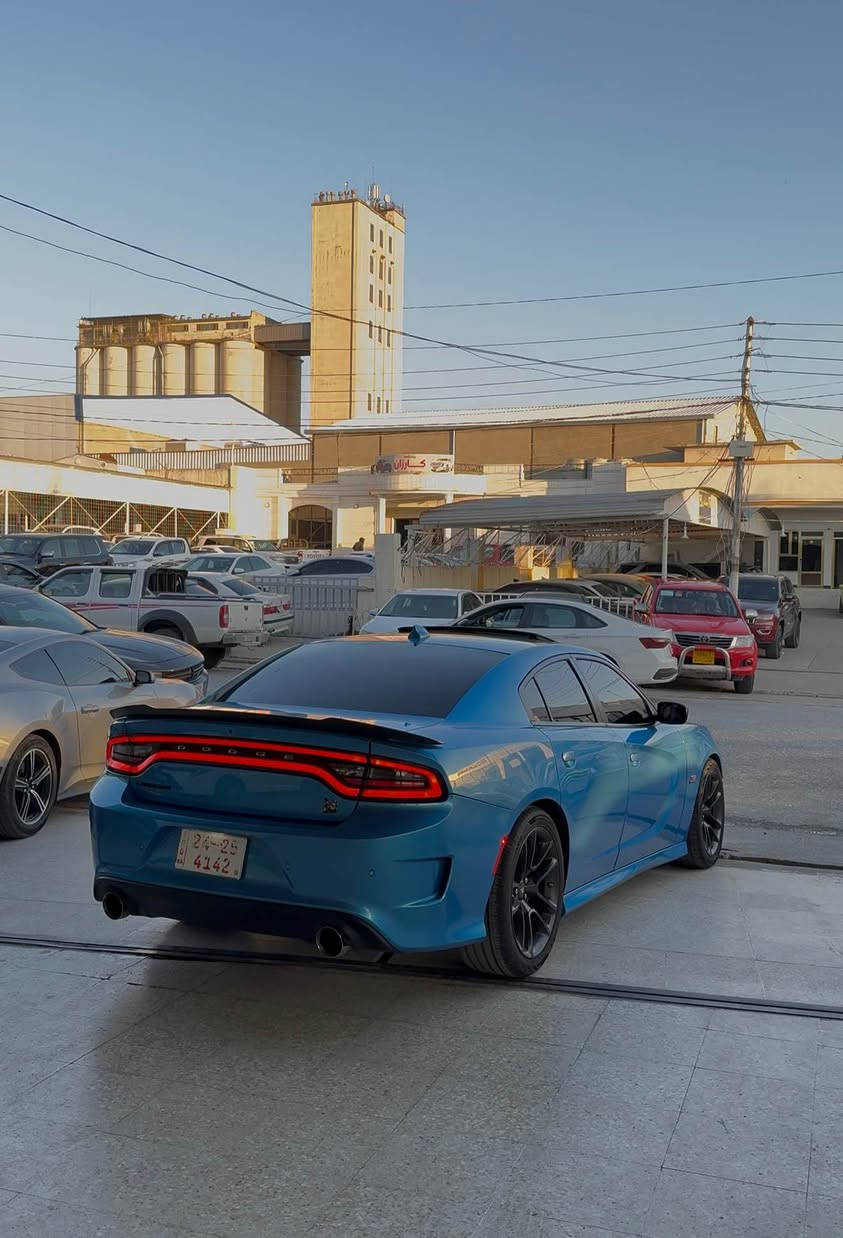 جارجر ٢٠٢٣ سكات پاك قباط قباط
1 قتعه سبغ بي داخلي بي ايرباك🔥
31 مايلا جوى
مكينه سكات 6.4💣
سلايد+رادار+شغال+كوشن خزن+كوشن سار گرم+سكان هيتر+حساس سياره قباطه...
سعر 365$ مجال
*********** زاخو, دهوك
