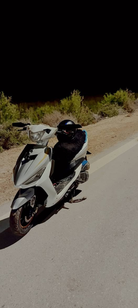 سلام عليكم عندي هاي دراجه مراوس بيراني شنو عدك  تعال خاص او تنزل صورته
شوفت العين دراجه احله من صوره


**إذا كنت صاحب هذا الإعلان وتريد حذفه لأي سبب، رجاءا أرسل رسالة إلى الدعم الفني**