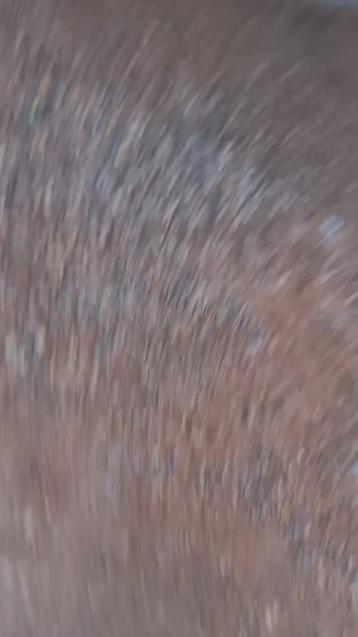 يا الله ابو ابن يصير مقابيل ابو عباس ابو الشربت على اليمنه 90 متر واجهيه 7:30 زراعي سنه 25 رقم الهاتف***********
