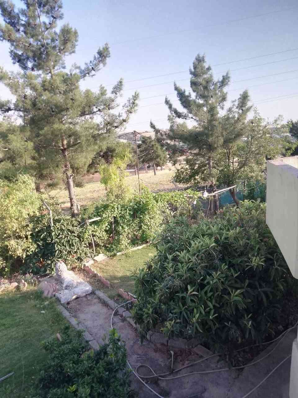 دار    للبیــــــع   مساحە  200م 
 مع قطعە ارض  مساحە 7 دۆنم  
موقـــــــــــــــــع  بانی مقان قرب قرهنجیر  
 

🏠#خانو بۆ #فرۆشتن   
🌲 ناونیشان  بانی مقان  
ڕووبەری  200م
  لەگەڵ پارچەیەک زەوی بەڕووبەری 7 دۆنم 
____________________

للاستفسار 

***********
*********** واتس اب و فایبر

عـــــــــــــــقارات  قـــــــــــــەڵایی کـــــــرکــــــــوک

_________________________________

‏

‏
