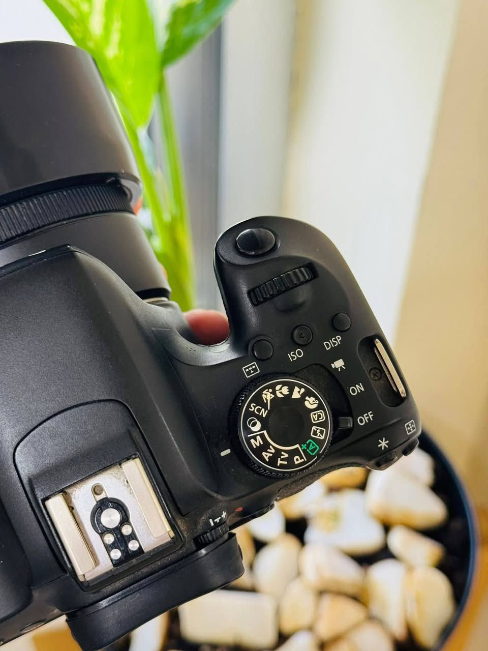 السلام عليكم 
Canon 800d  كاميرا  الجديده تمامآ 
معها  العدسه الأصليه  18-55    الشنته   الستراب  البطارية الأصلية  معه ثلاث بطاريات اصلية معه شاحن بطاريات منفذ تايبسي بسعر مغري جدآ.
لتواصل واتساب فقط *********** 

مواصفات الكاميرا :

- شاشة لمس متحركة 360درجة
- معالج جيل سابع DIGIC 7
- مستشعر بدقة 24.2
- نطاق الايزو 100-51200
- تصوير مستمر حتى 6 صور بالثانية
- تصوير فيديو FHD 60fps
- بطارية تكفي ل800 صورة تقريبا
- 45نقطة تركيز 
- تتبع تلقائي للوجة في تصوير الفيديو والصور
- واي فاي وبلوتوث لنسخ الصور للهاتف مباشرة
- إمكانية التحكم فيها عن طريق الموبايل  
- نظام تركيز تلقائي Dual Pixel CMOS AF

