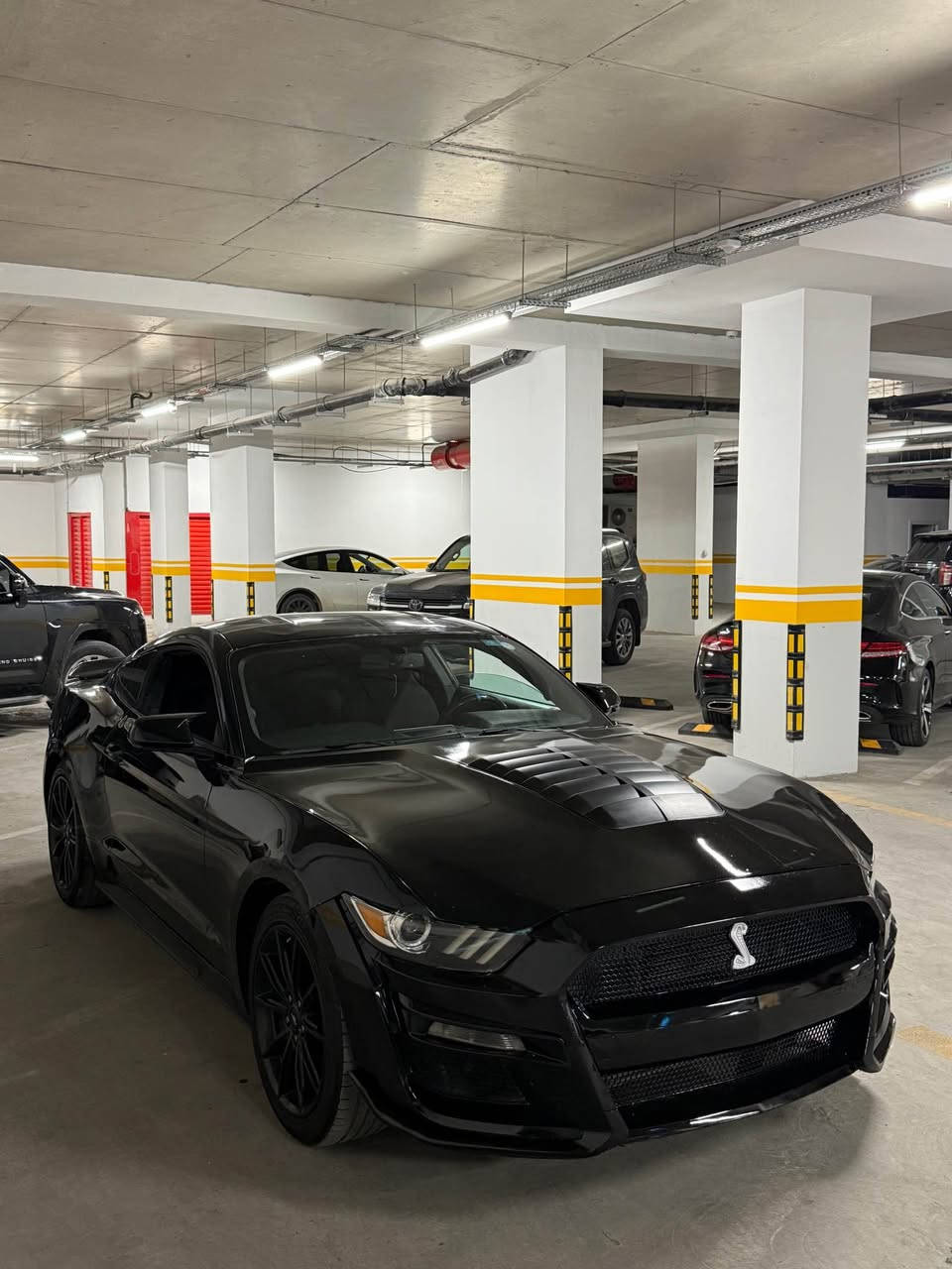 السلام عليكم
🚘موستنك ٢٠١٦ ايكو بوست بريمويم رقم اربيل 
مواصفات بصمة كشن جلد تدفيئة تبريد 
داخل ٧ الوان دوسة ليد 
جاملغين امامى كلير بنيت صبغ باب واحد كلير 
بنيت دعامية مبدل شيلى حتا ويل 
تايرات ويل جديد حدادية جديد 
ماشية ٩٠ رقم سنوى هزة جديد بسمى تحويل ثانى يوم 
كير محرك كهربائى مابى شى سعر 105 ورقة مجال 
مكان سيارة اربيل ***********واتساب أربيل, العراق
